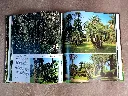 20260918_174803.webp