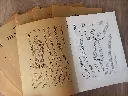 20260920_090629.webp