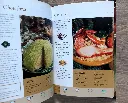 20260925_184227.webp