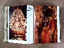 20260927_090419.webp