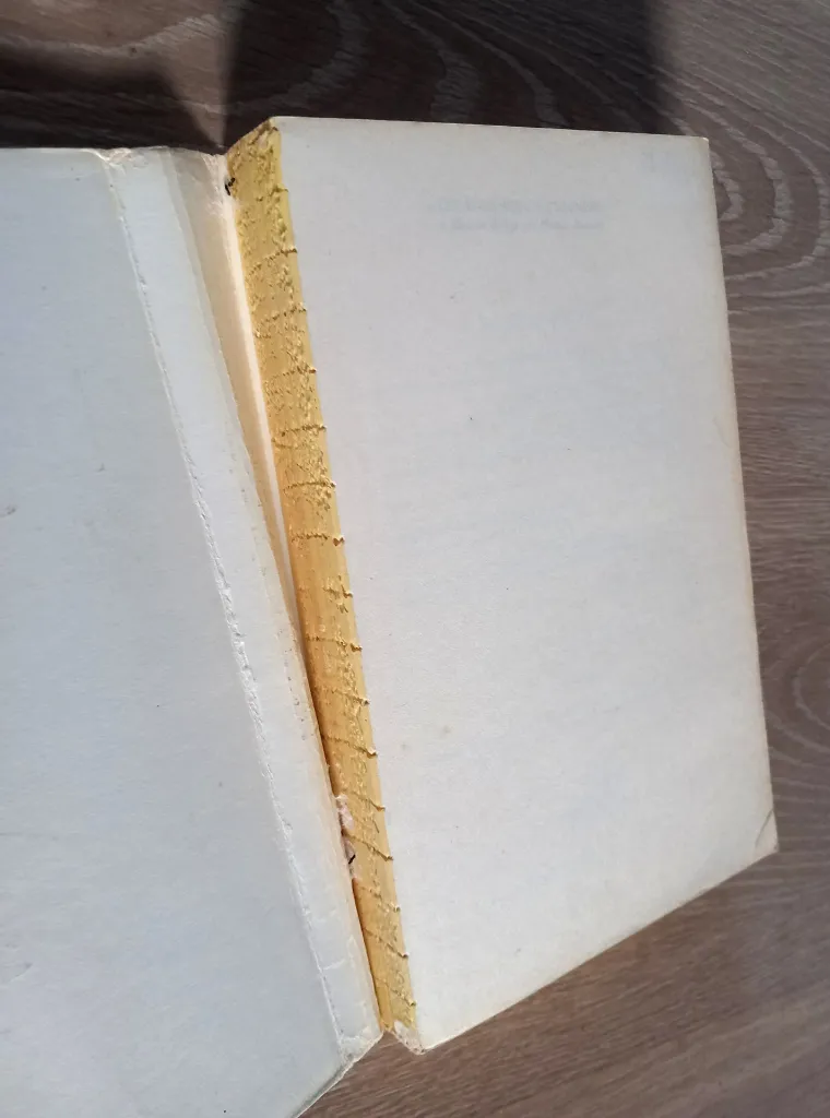 20260927_184852.webp