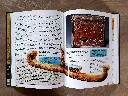 20260929_121948.webp