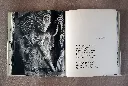 20261018_110820.webp