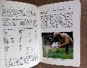 20261028_094039.webp