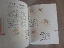 20260622_191848.webp