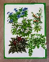 20260705_114344.webp