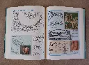 20260705_114715.webp