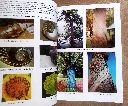 20260712_164959.webp