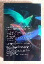 20260716_175509.webp