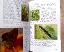 20260718_174940.webp