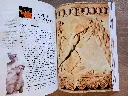 20260723_090708.webp