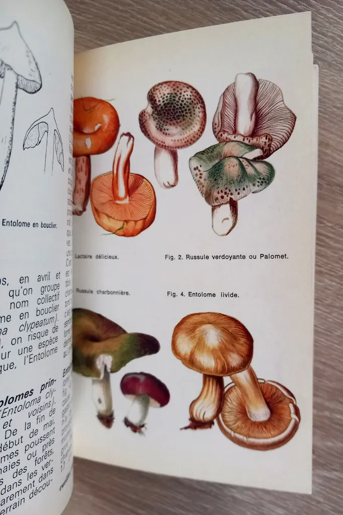 20260530_144438.webp