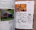 20260601_161131.webp