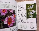 20260601_161119.webp