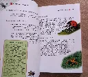 20260601_161245.webp