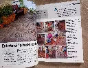 20260604_191255.webp