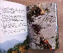 20260607_162229.webp