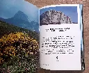 20260607_162218.webp