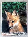 20260705_134252.webp