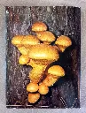 20260705_134430.webp