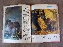 20260705_134714.webp