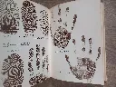 20260726_165522.webp