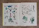 20260814_173930.webp