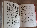 20260814_174118.webp