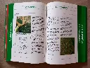 20260816_184828.webp