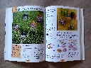 20260817_184743.webp