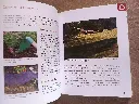 20260830_160542.webp