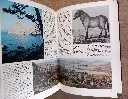 20260830_160720.webp