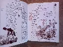 20260903_164538.webp