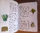 20260904_083938.webp