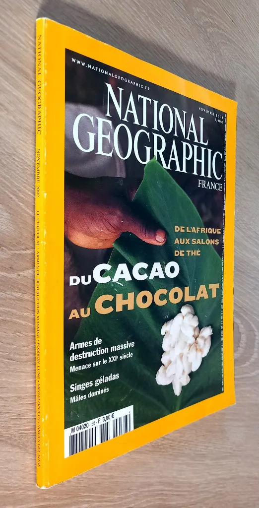 20260905_174244.webp