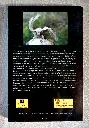 20260905_165911.webp