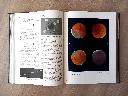 20260910_110822.webp