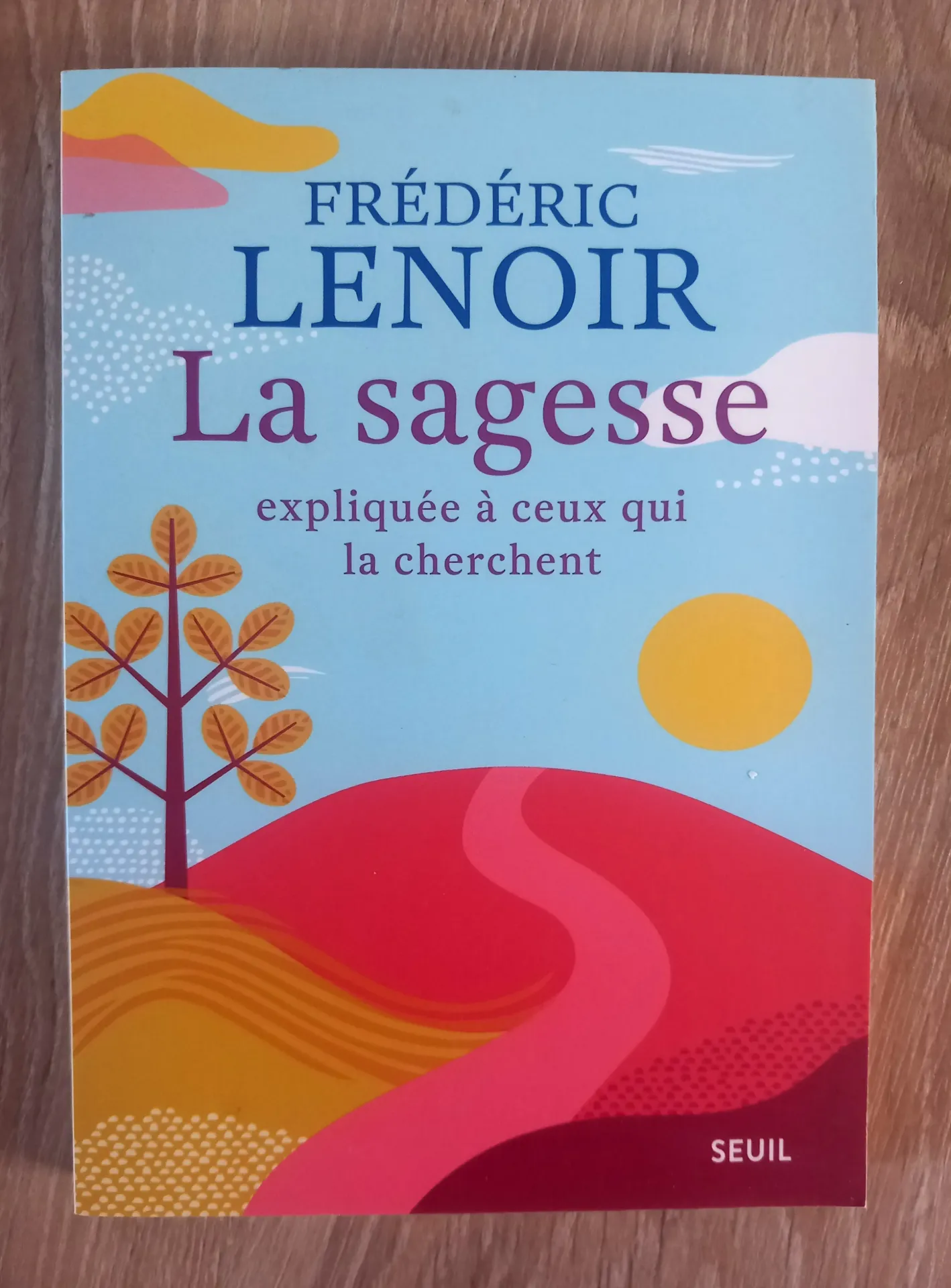 La sagesse expliquée à ceux qui la cherchent (Frédéric Lenoir)