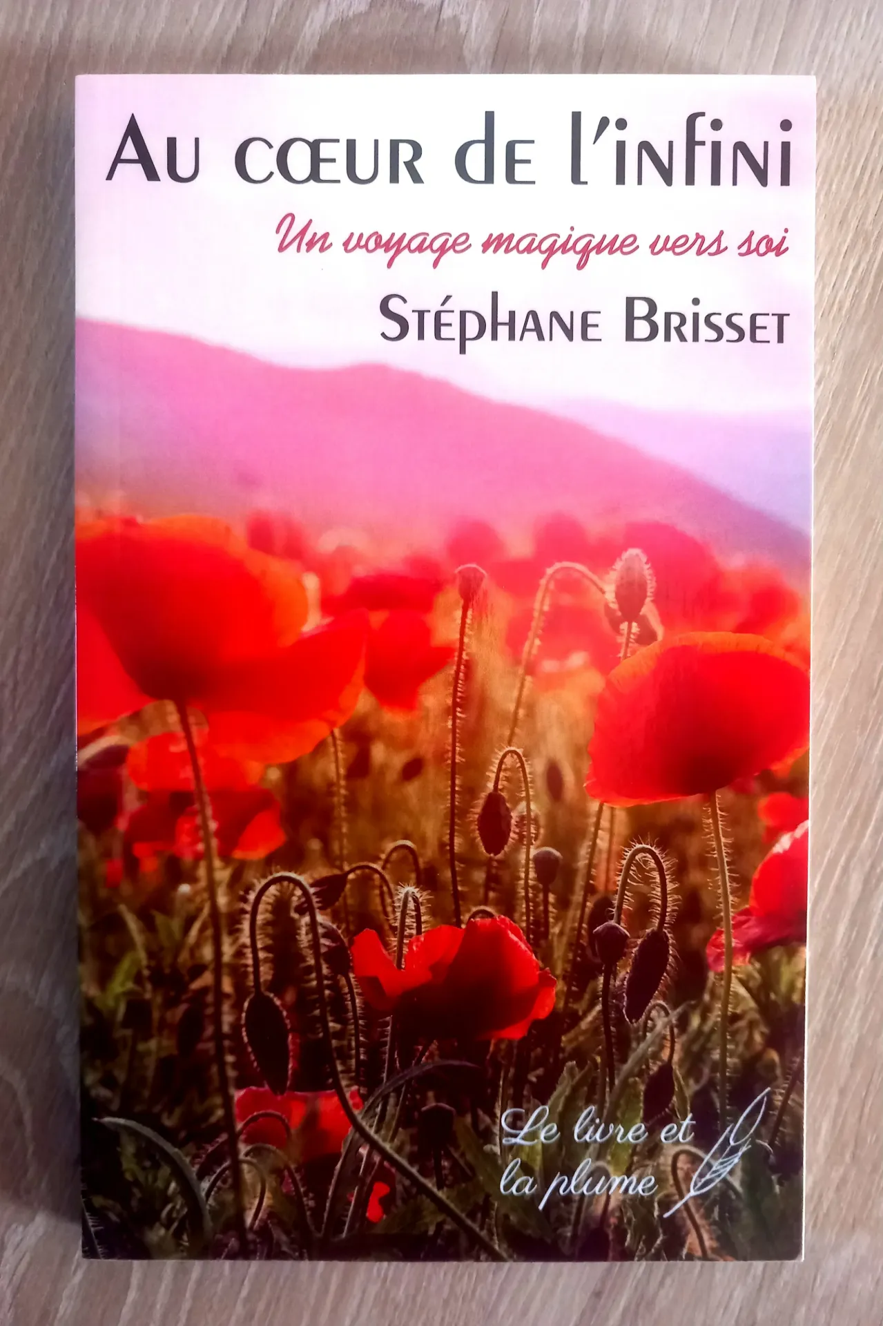 Au coeur de l'infini, un voyage magique vers soi (Stéphane Brisset)