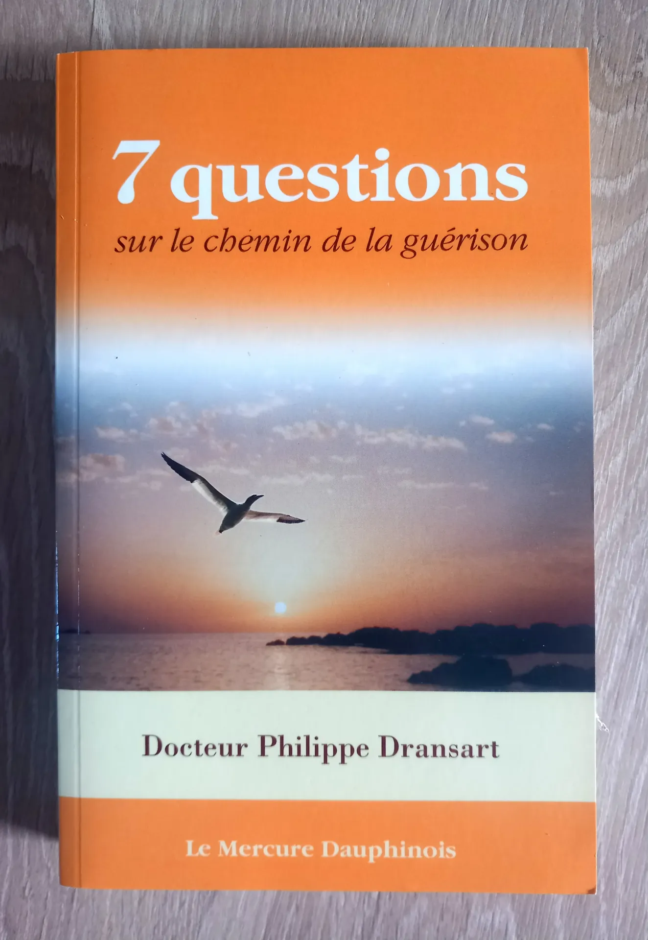 7 questions sur le chemin de la guérison (Dr Philippe Dransart)