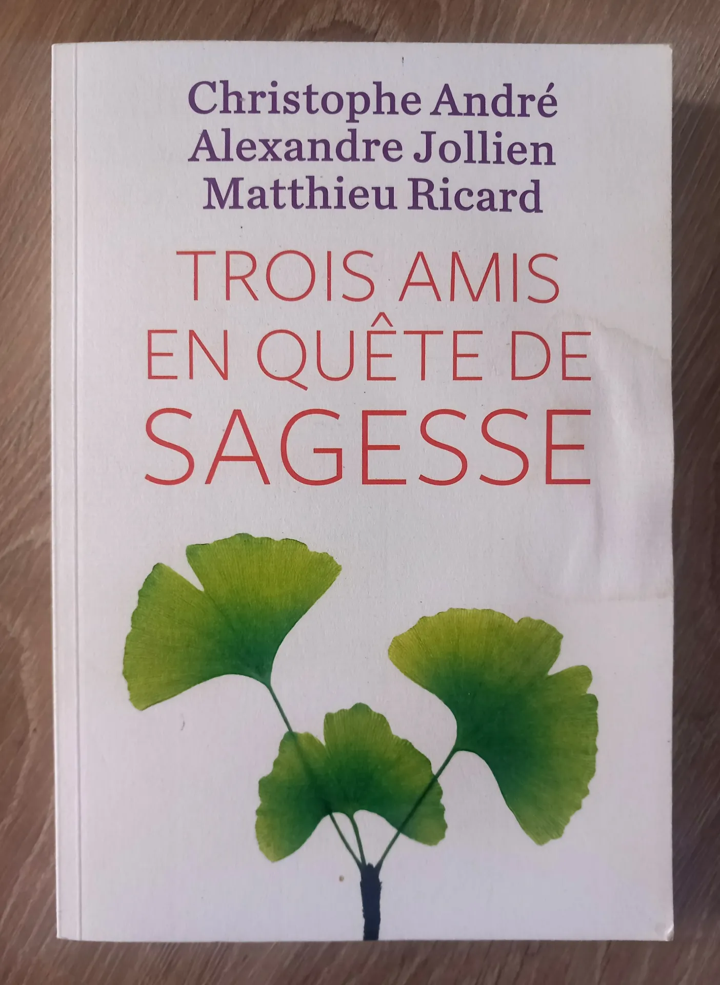 Trois amis en quête de sagesse (Christophe André, Alexandre Jollien, Matthieu Ricard)