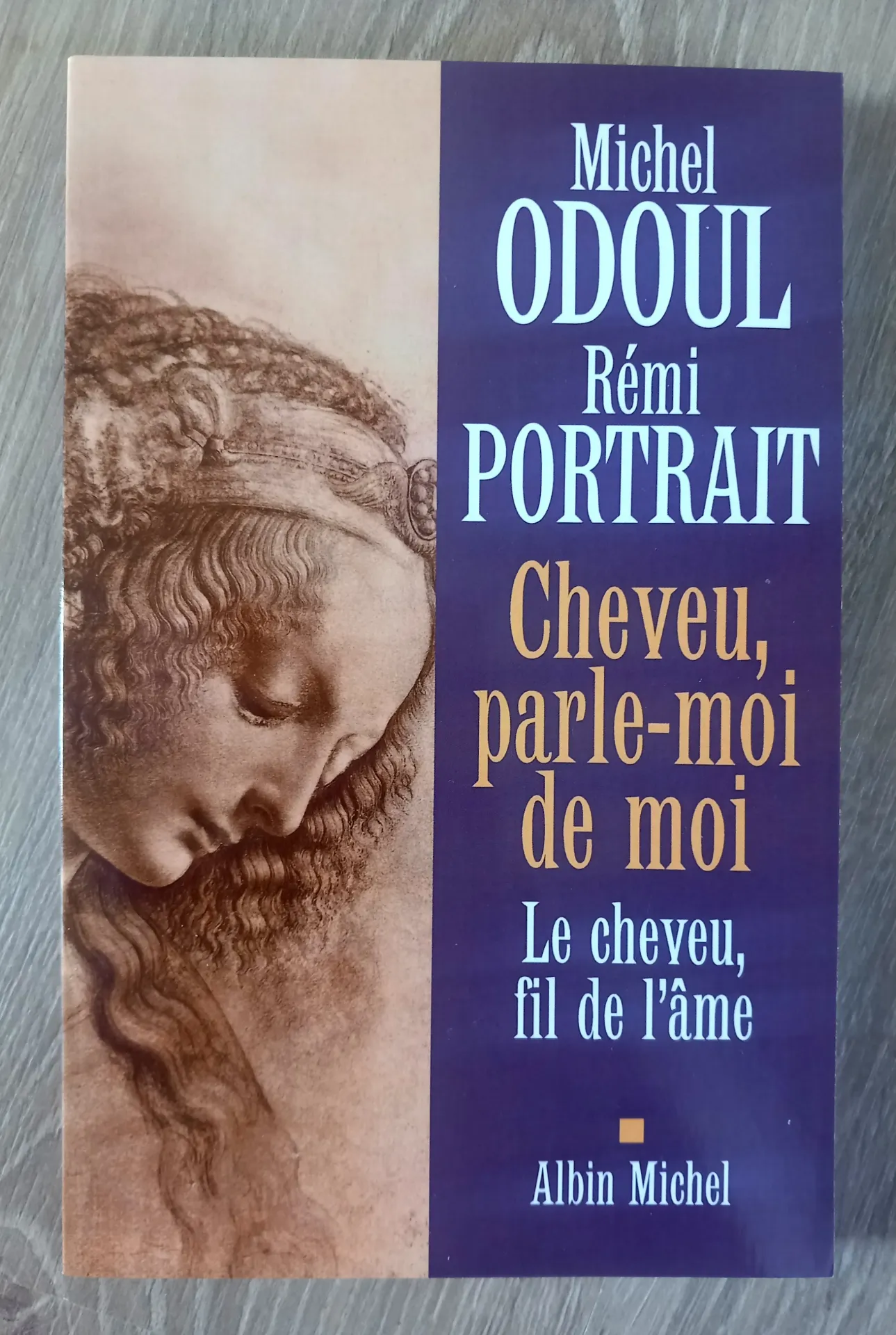 Cheveu, parle-moi de moi (Michel Odoul et Rémi Portrait)