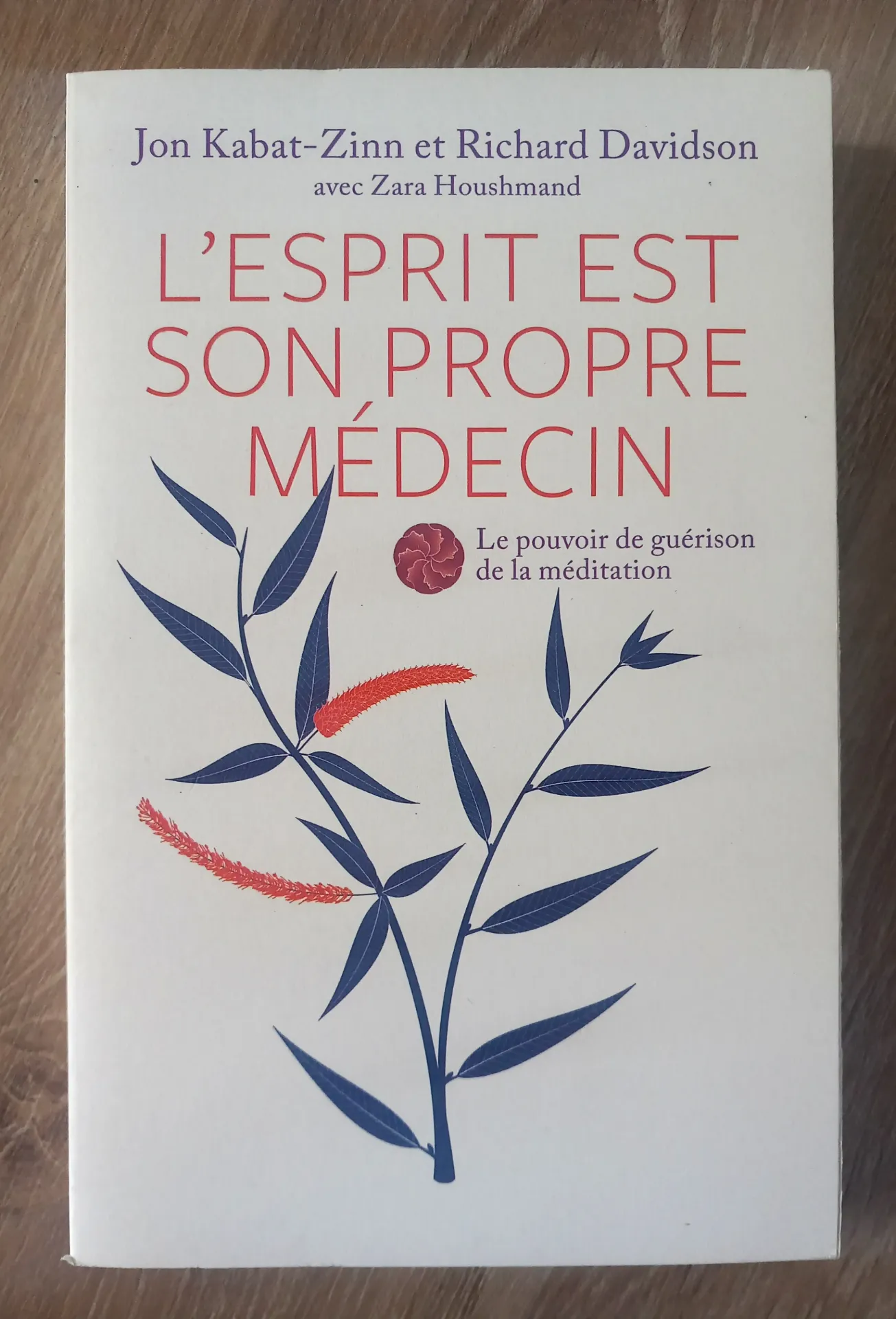 L'esprit est son propre médecin (Jon Kabat-Zinn et Richard Davidson, Zara Houshmand)