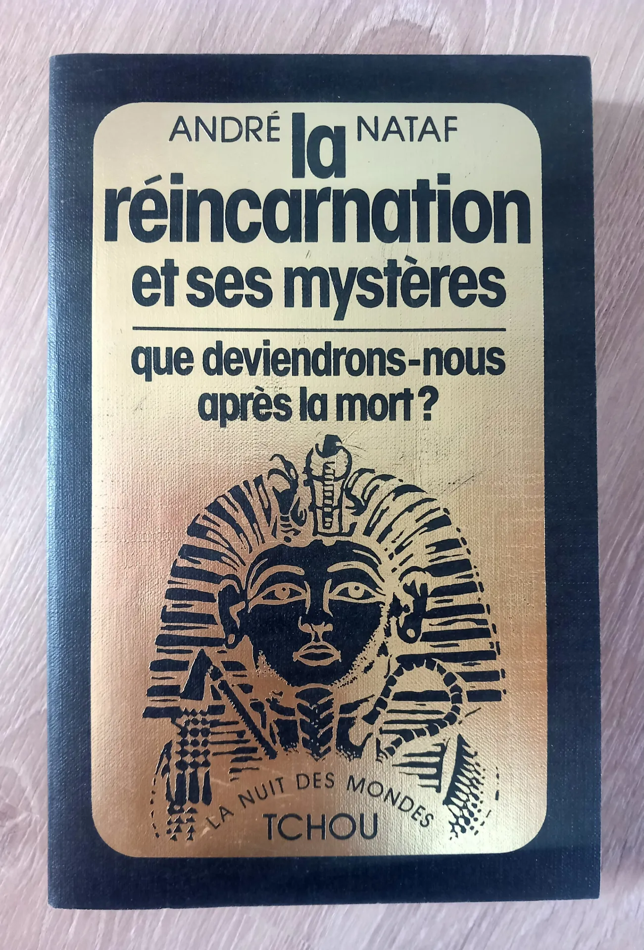 La réincarnation et ses mystères (André Nataf)