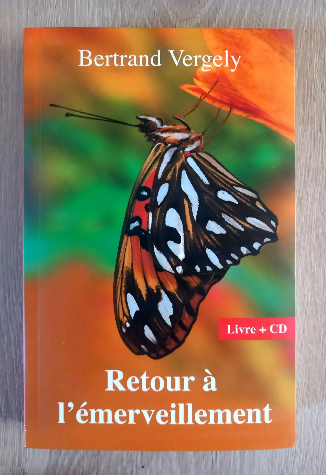 Retour à l'émerveillement (Bertrand Vergely)