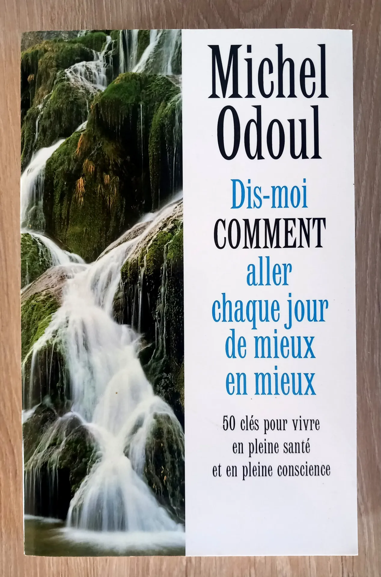 Dis-moi comment aller chaque jour de mieux en mieux (Michel Odoul)