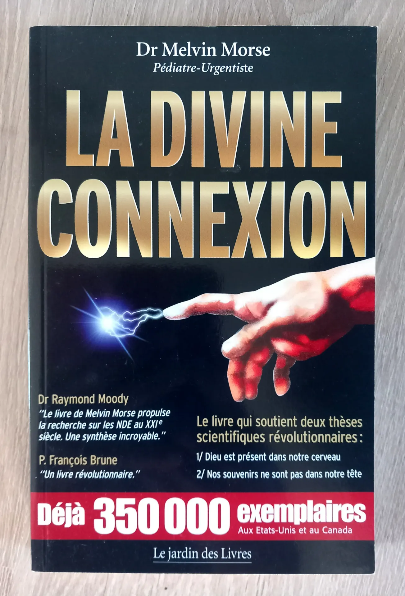 La Divine Connexion (Dr Melvin Morse)