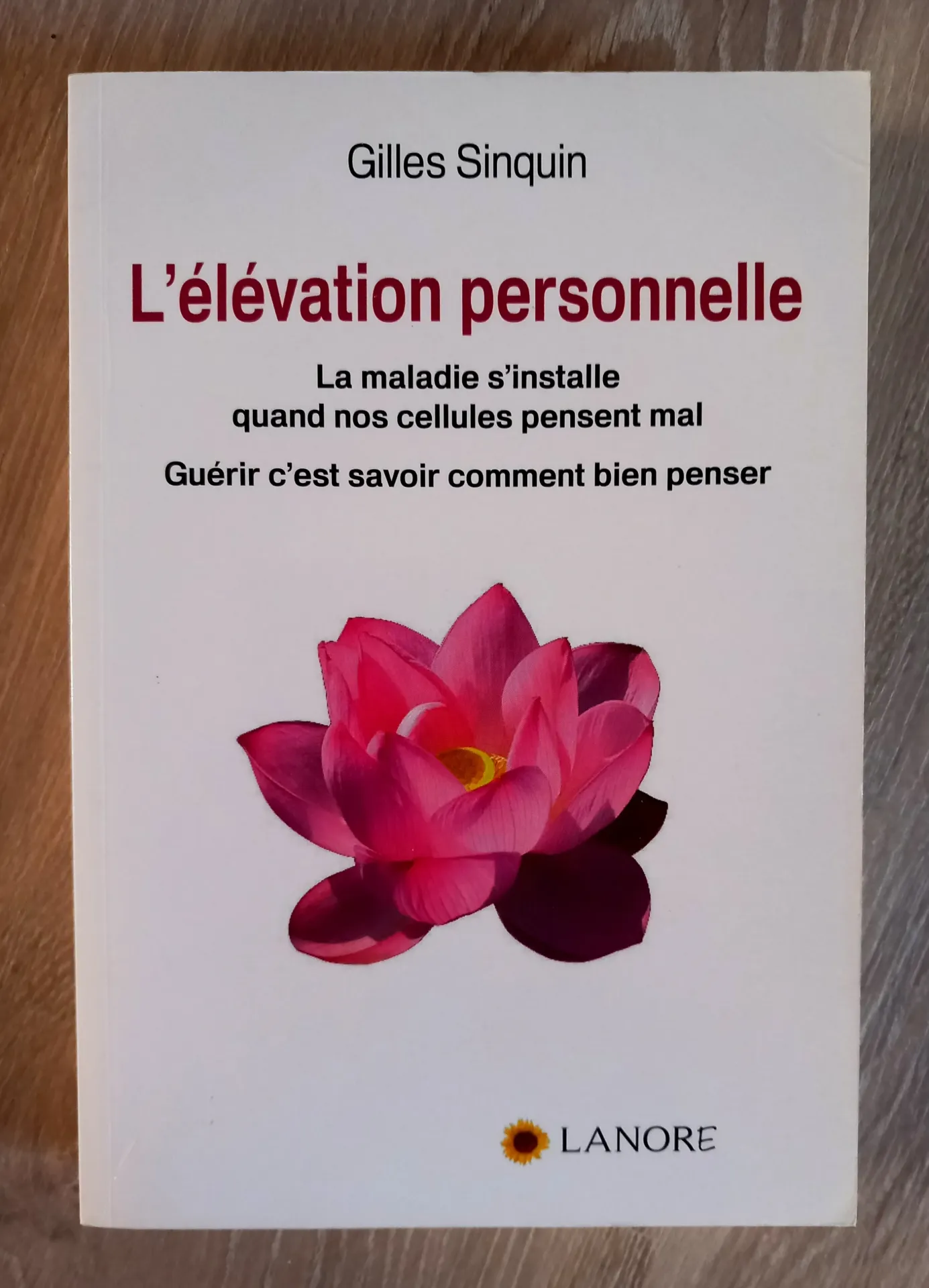 L'élévation personnelle (Gilles Sinquin)