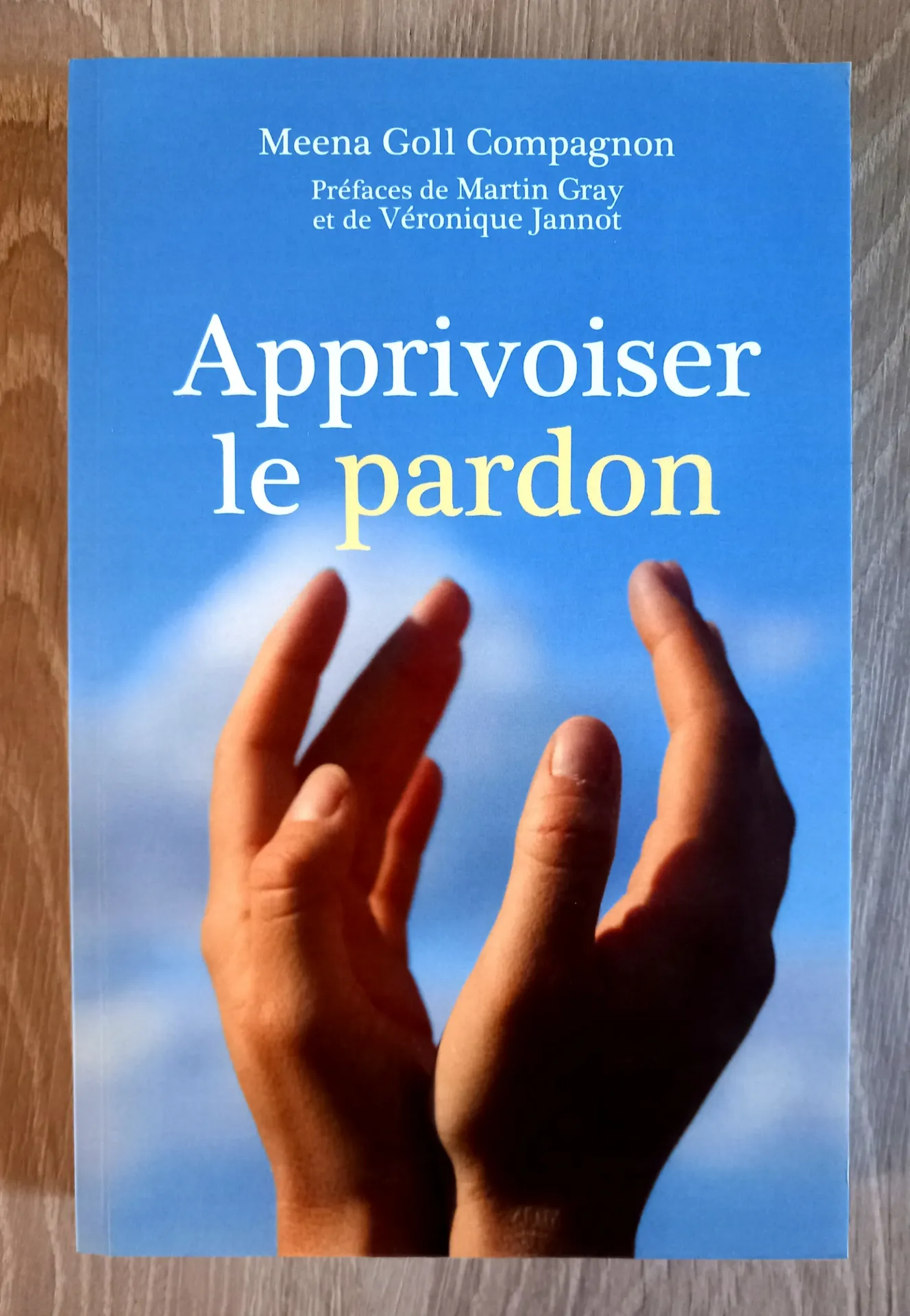 Apprivoiser le pardon (Meena Goll Compagnon)