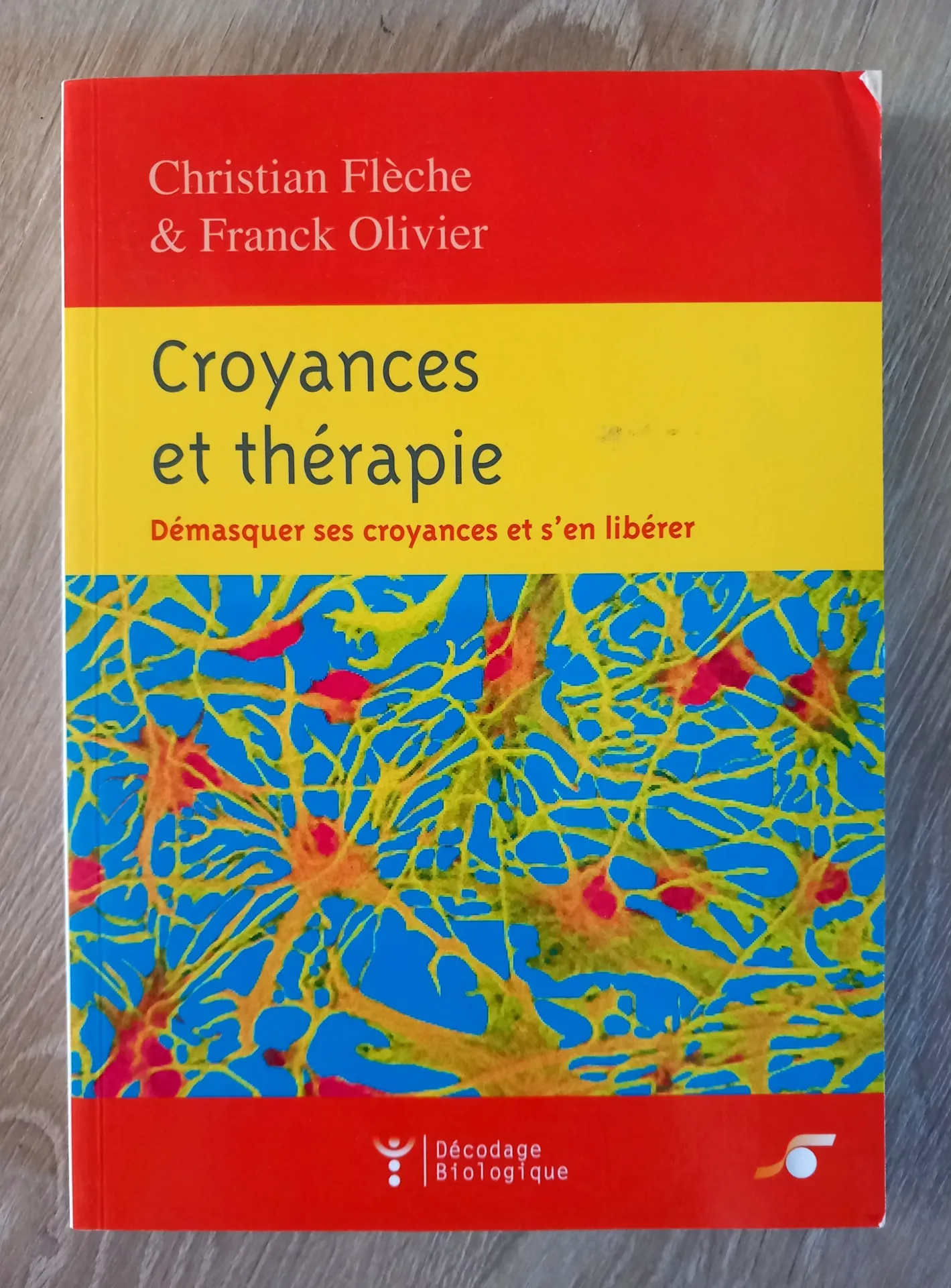 Croyances et thérapie (Christian Flèche et Franck Olivier)